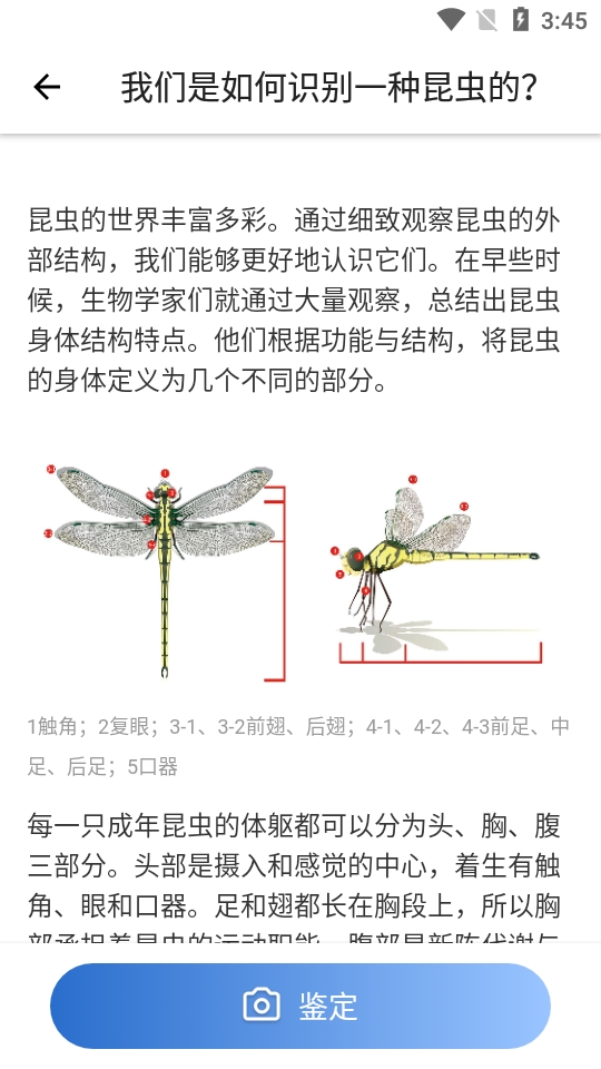 昆虫识别软件免费版截图0