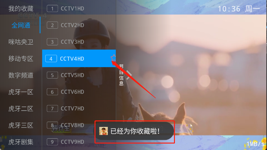 飞扬直播