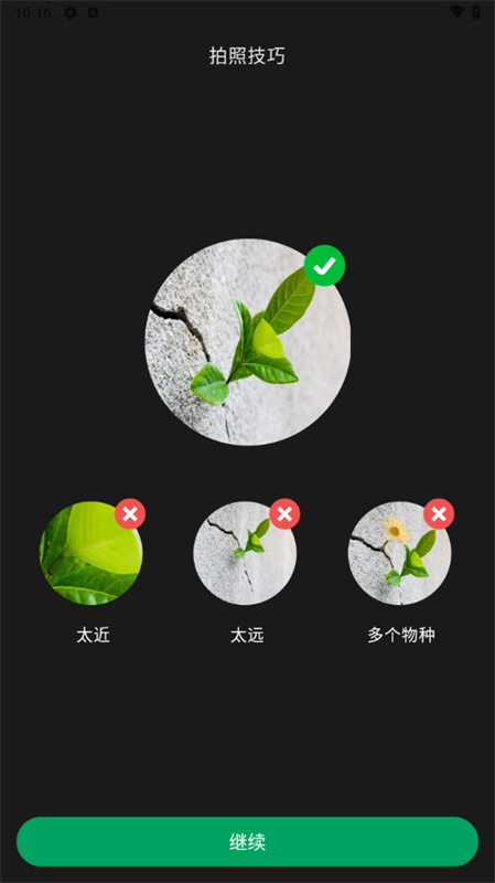 PictureThis截图2