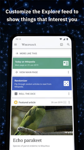 Wikipedia截图3