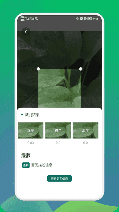 小园丁截图2