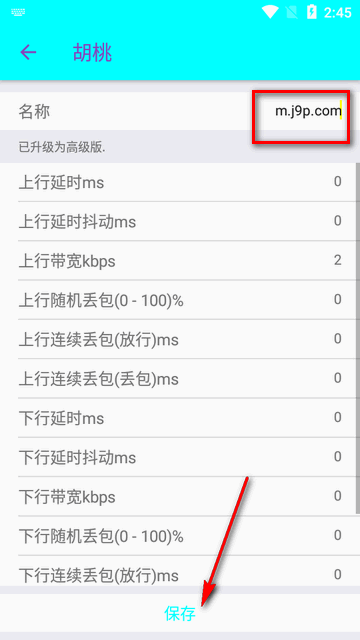 胡桃弱网参数版