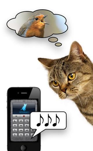 human to cat截图0