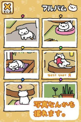 收集猫猫截图1