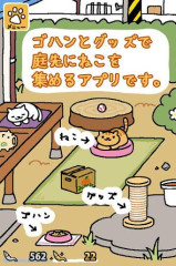 收集猫猫截图0
