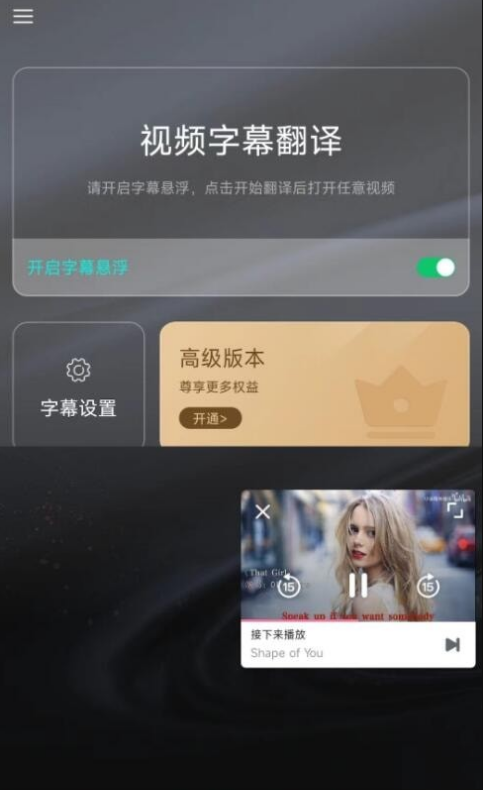 实时字幕翻译截图2