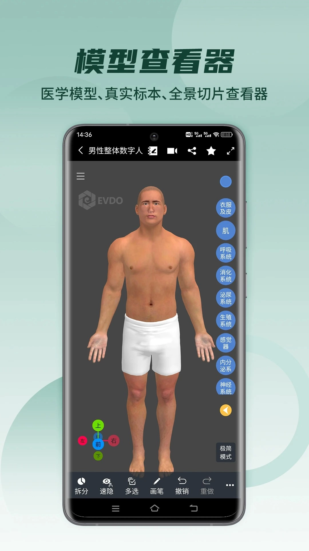医维度解剖免费正版