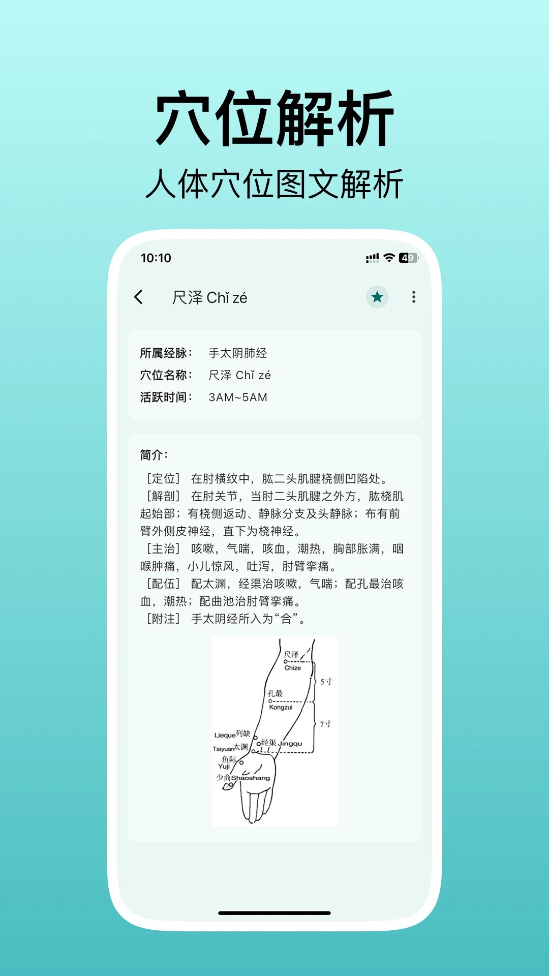 人体穴位图解手机版