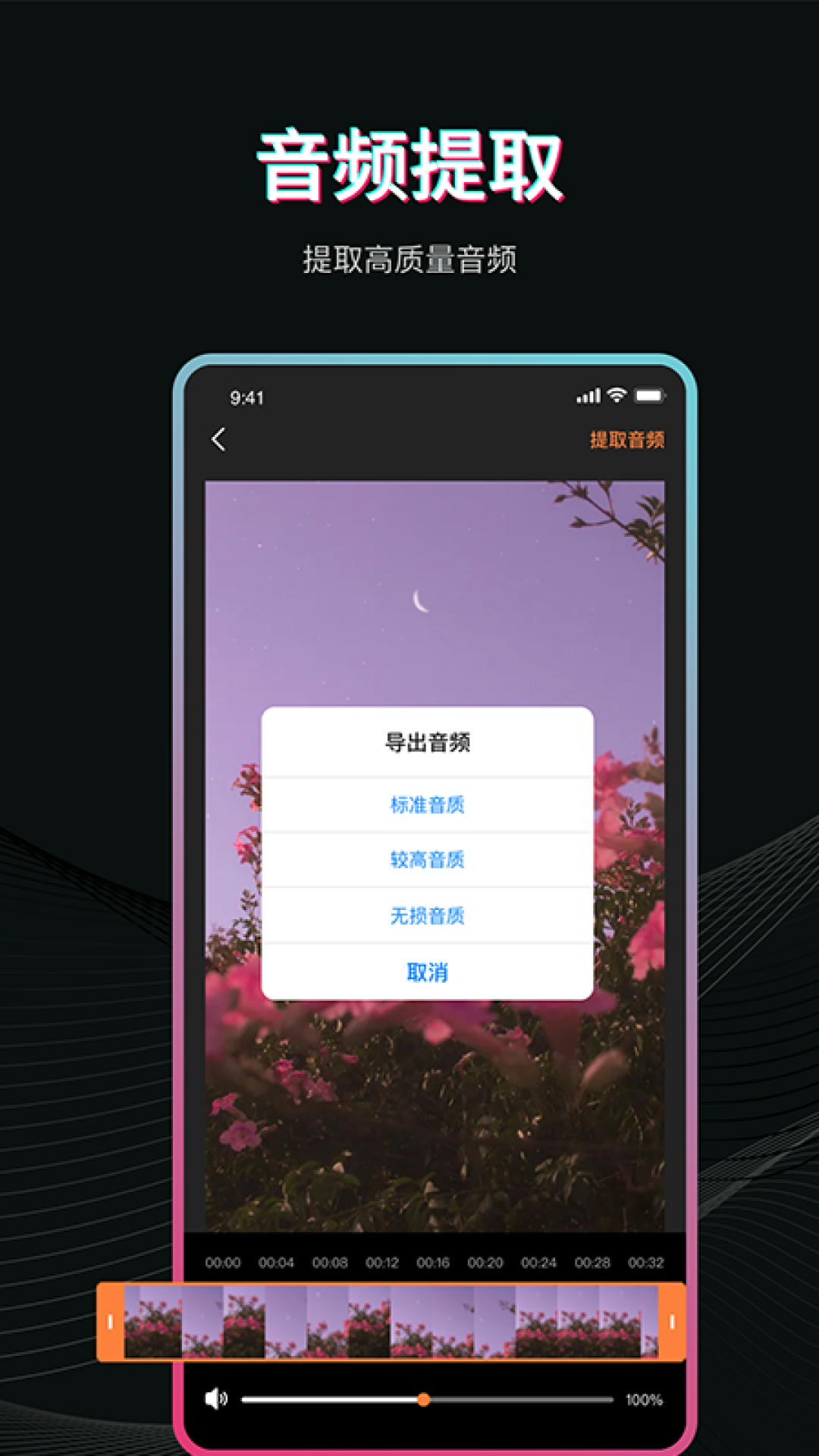 Pr视频剪辑截图2