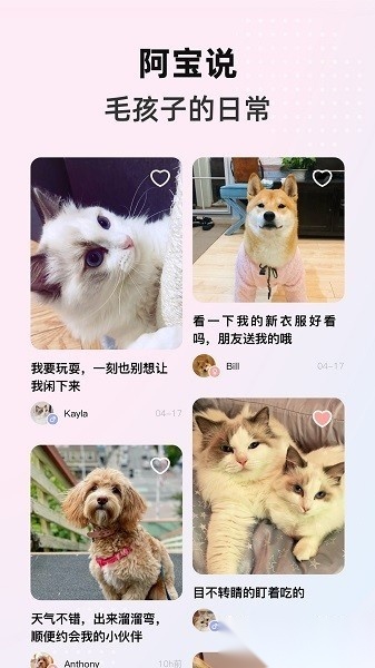 阿宝说截图3