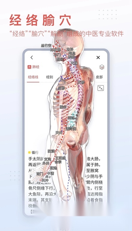 3Dbody解剖图手机版