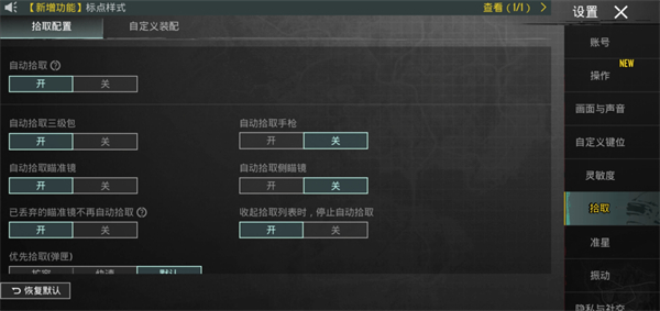 pubg国际服中文版