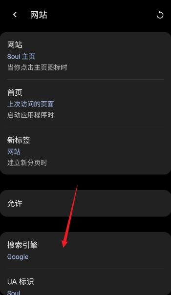 Soul浏览器中文版