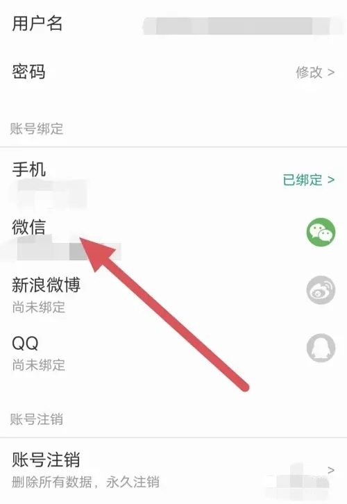 扇贝编程