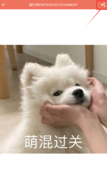 PDF工坊