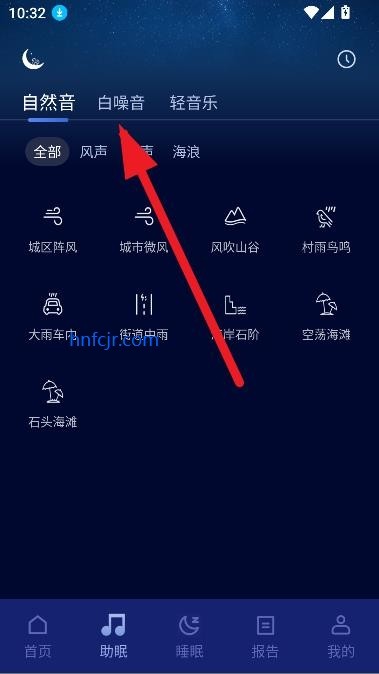松鼠睡眠