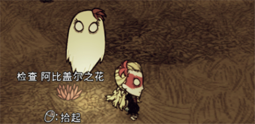 饥困荒野正版