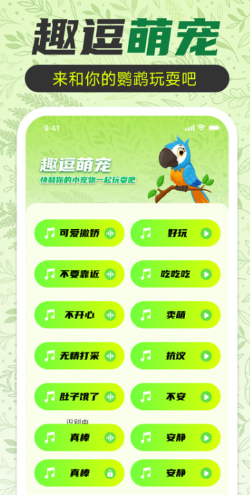 鹦鹉翻译助手