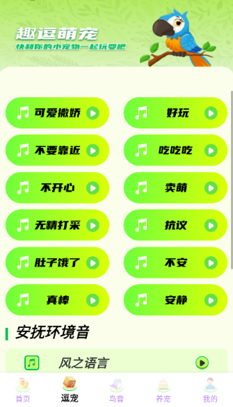 鹦鹉翻译助手