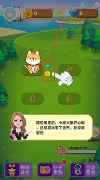 柴犬日记