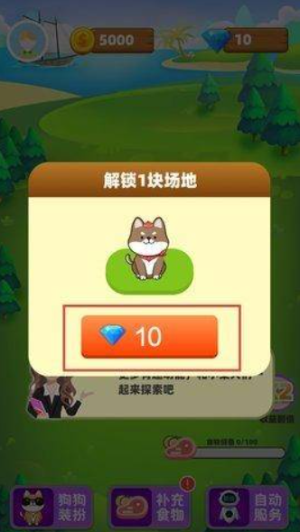 柴犬日记