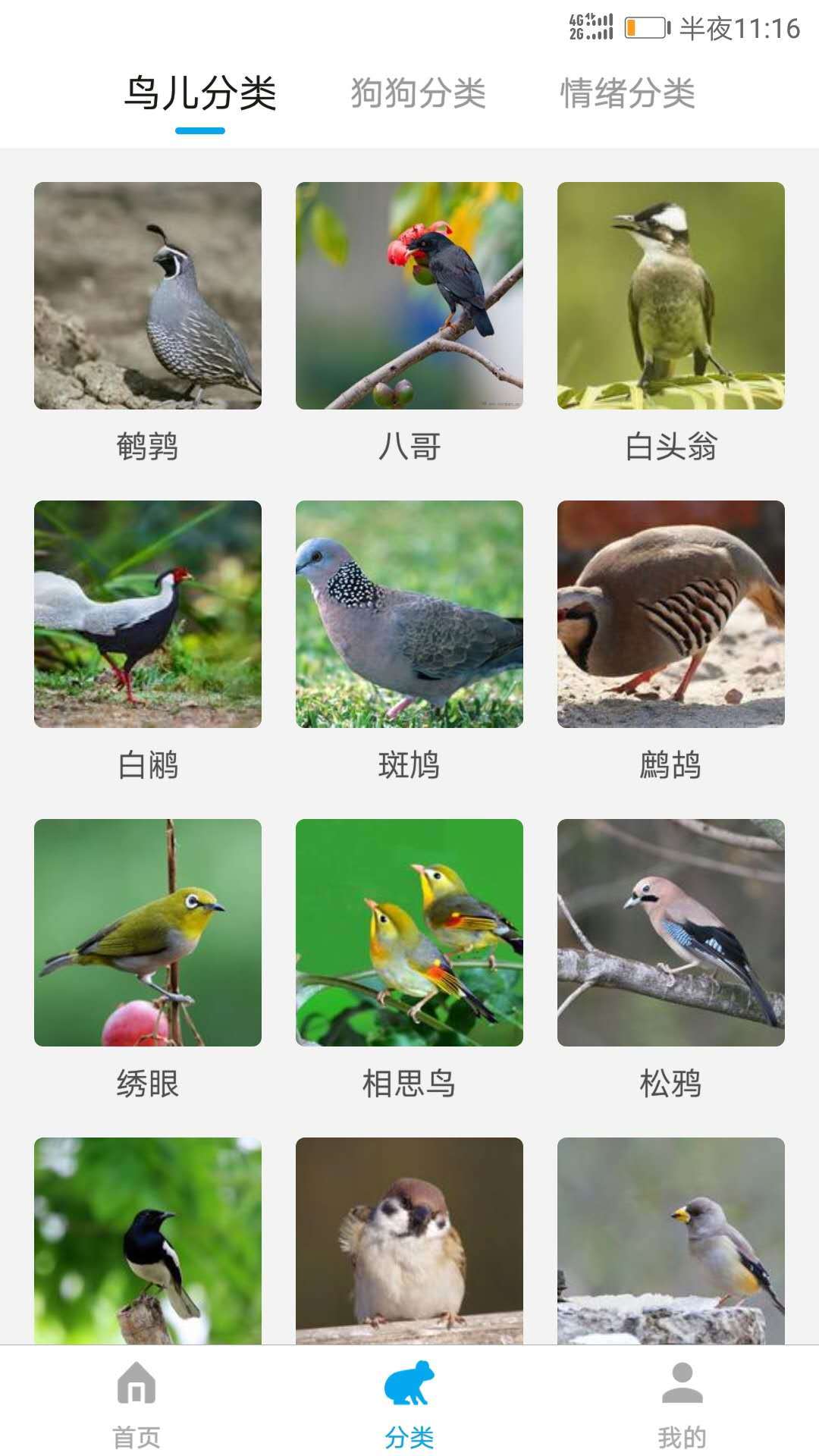 动物翻译器2026