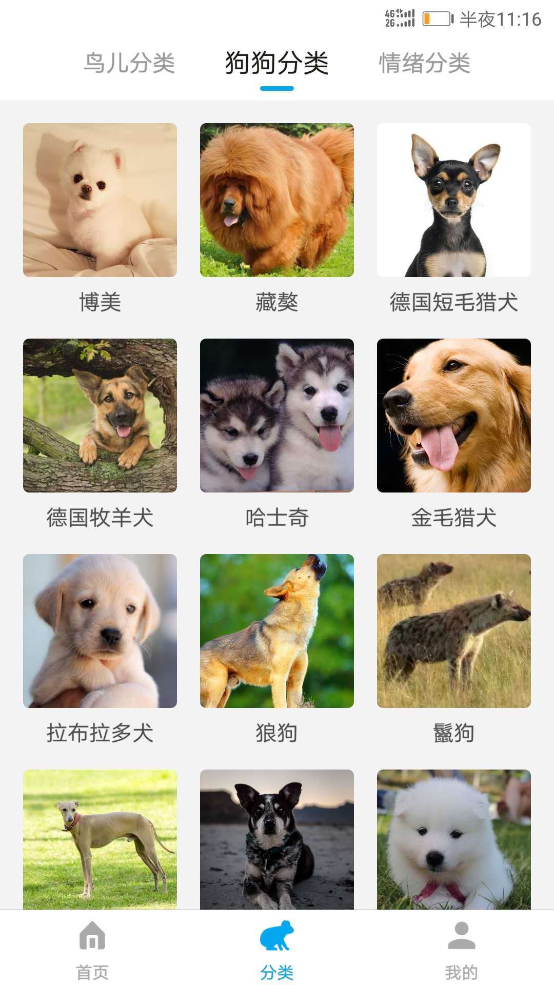 动物翻译器2026