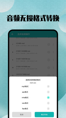 格式转换专家