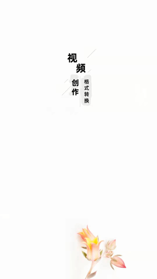 万能视频格式转换器软件
