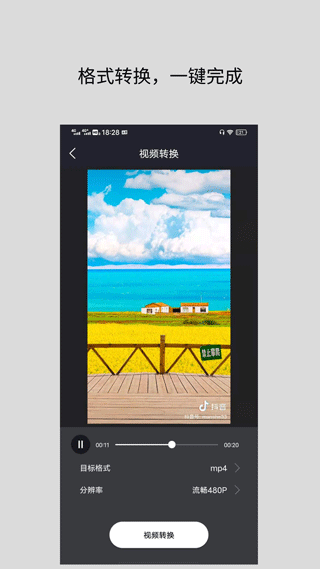 万能视频格式转换器软件