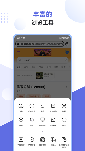 狐猴浏览器旧版
