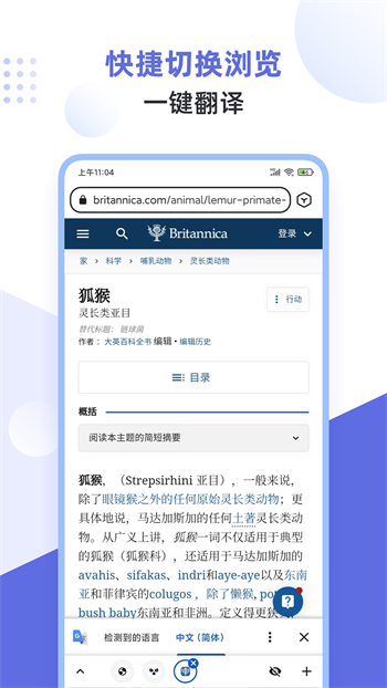 狐猴浏览器旧版