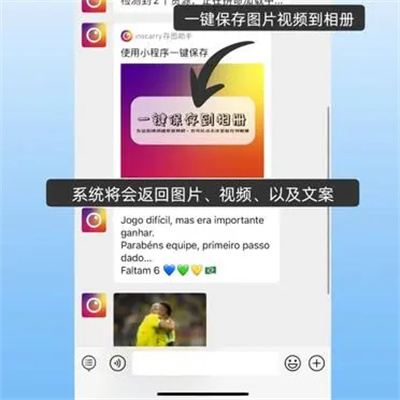 ins软件正版