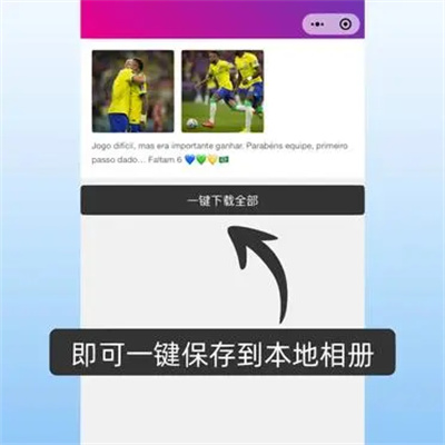 ins软件正版
