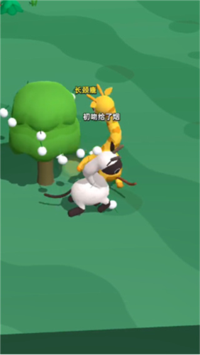 长颈鹿是这样打架的!?