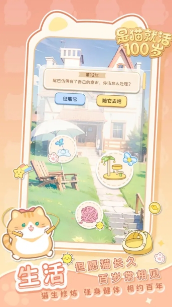 是猫就活100岁截图1