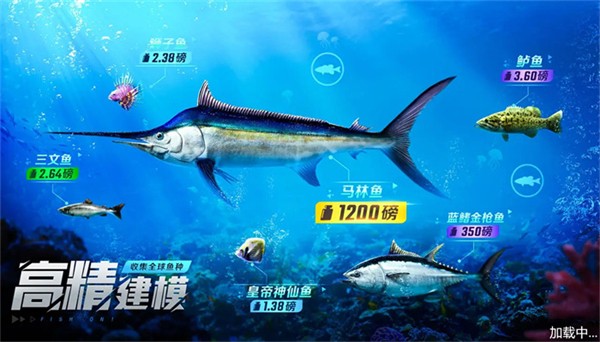 野外钓鱼大师截图1