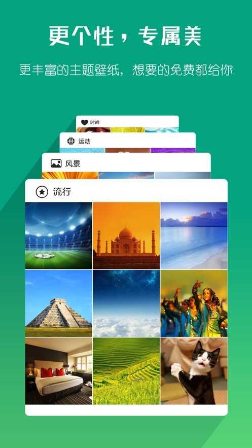 海豚浏览器flash版本截图2