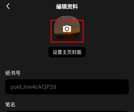 纸书