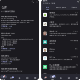 lsp框架永久版