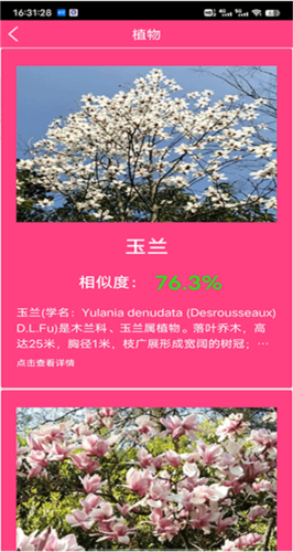 拍照识花