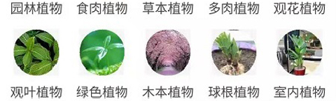 拍照识花