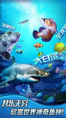 全民钓鱼2正版截图3