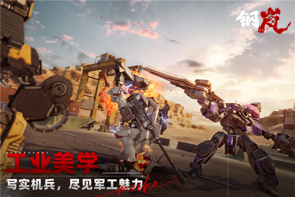 钢岚vivo渠道服截图2
