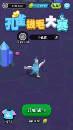 孔雀拔毛大赛