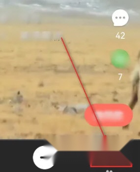 音画