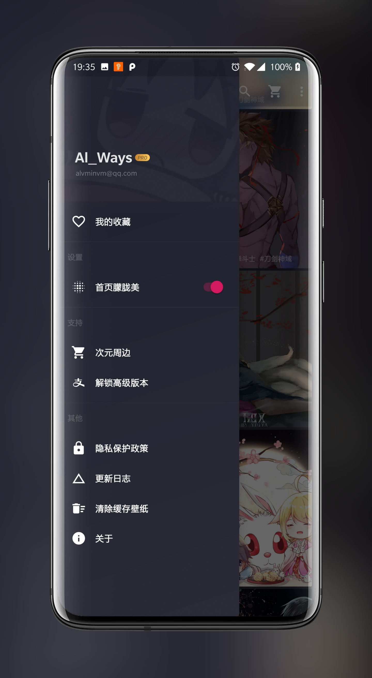 次元壁纸正版截图0