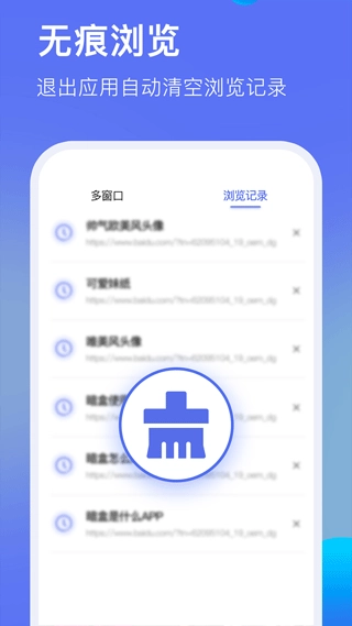 暗盒浏览器截图2