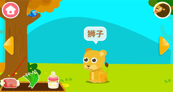 动物乐园