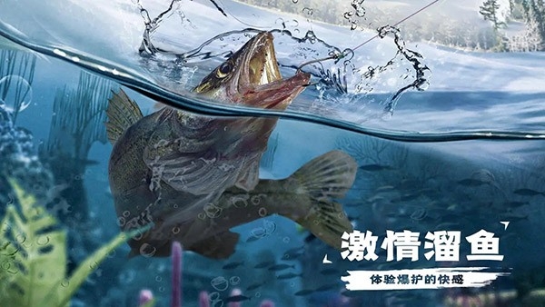 天天钓鱼安装截图2